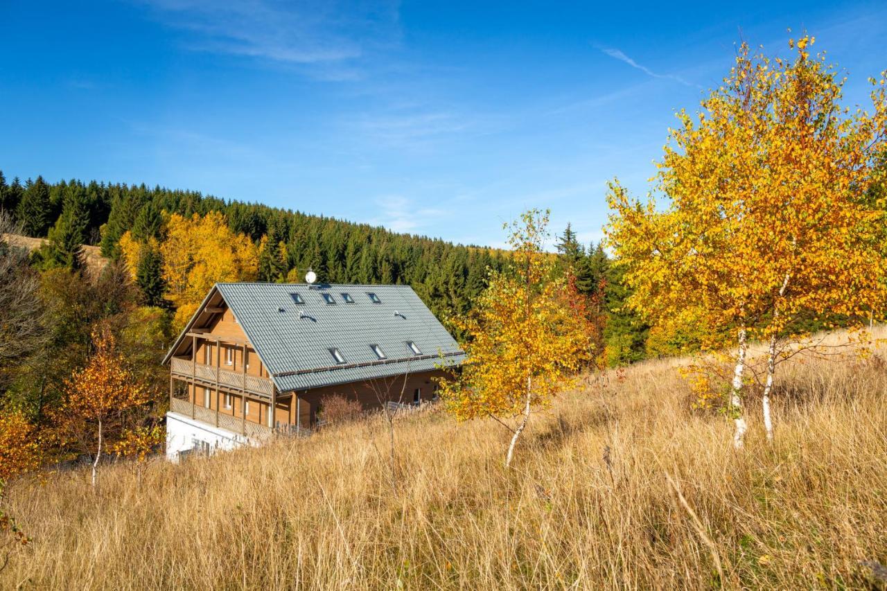 Krusnohorske Strane Lägenhet Loučná pod Klínovcem Exteriör bild