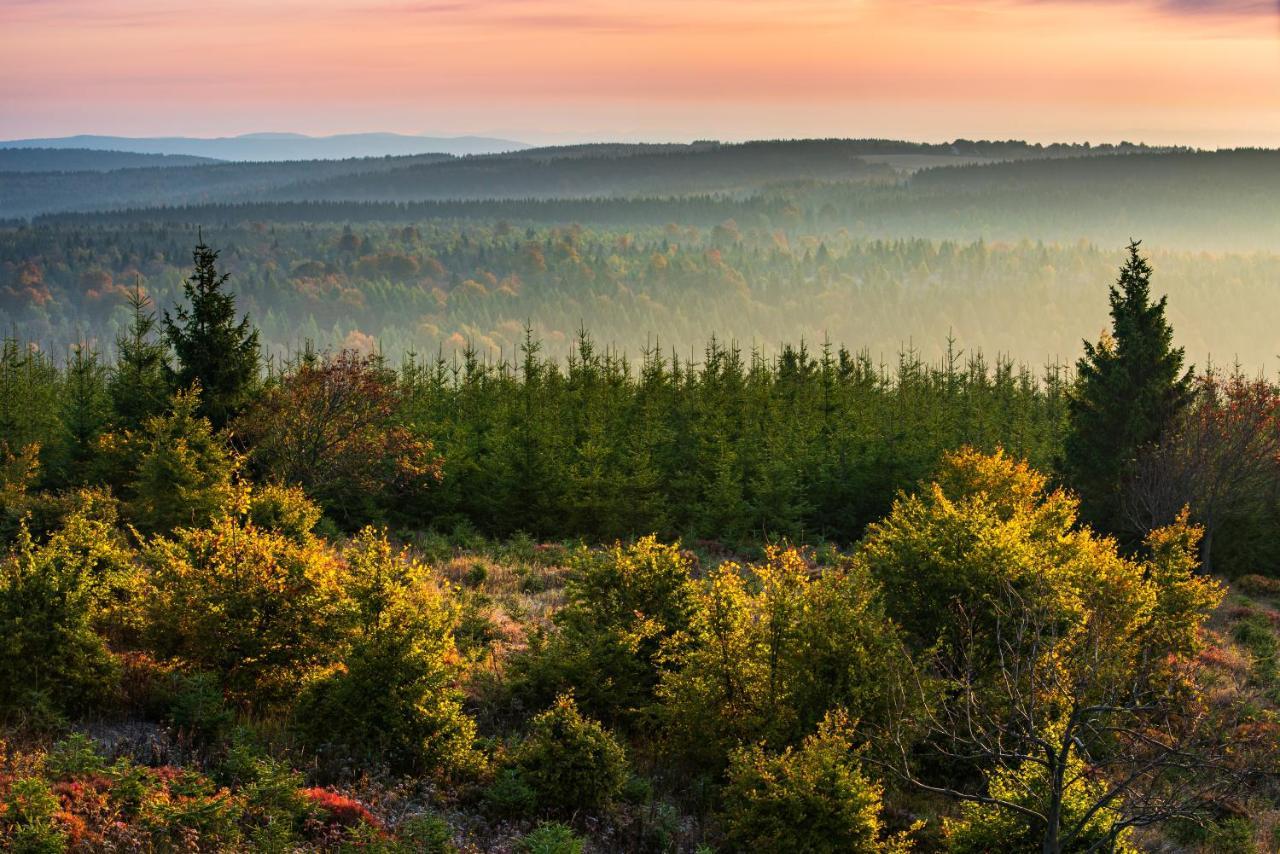 Krusnohorske Strane Lägenhet Loučná pod Klínovcem Exteriör bild